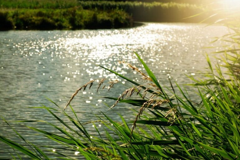 Riverfest July 20/21 2024: The prestigious Riverfest will be held on the River Stour for the first time and our Club are pleased to host it.