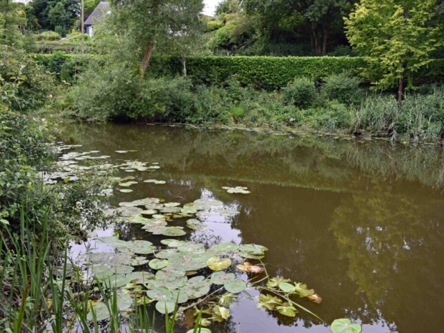 Sturminster pool stretch above the mill pool