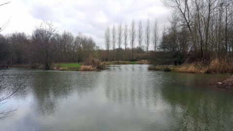 Please note that Mappowder Lakes have now reopened. No signs of contagious disease have been found. Thanks for your patience.