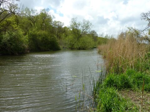 The recent Riverfest & Pairs Matches raised £500 for the club via entry fees. These proceeds go towards maintaining the SH&AA waters to a high standard, for the benefit of all club members.