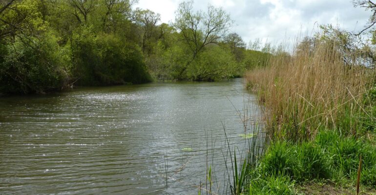 The recent Riverfest & Pairs Matches raised £500 for the club via entry fees. These proceeds go towards maintaining the SH&AA waters to a high standard, for the benefit of all club members.