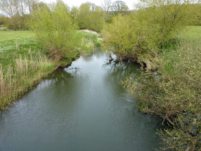 Please Note: The short LH Bank at Bere Marsh Farm is currently closed