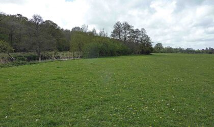 Sowley Meadows are closed until the hay crop has been cut – best estimate until 4th July 2022