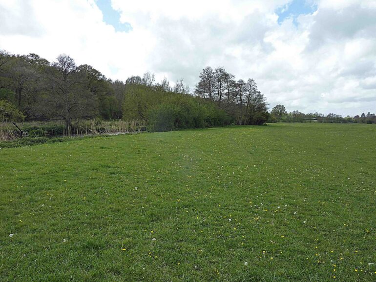 Sowley Meadows are now Open – but please avoid areas of the field that have not yet been cut.