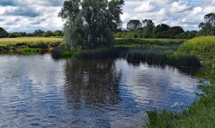 Advisory Notice – Fiddleford Mill. After swimming in the river at Fiddleford, a dog is being treated for the possible effects of Blue/Green algae poisoning. Please click into this message for the full update.