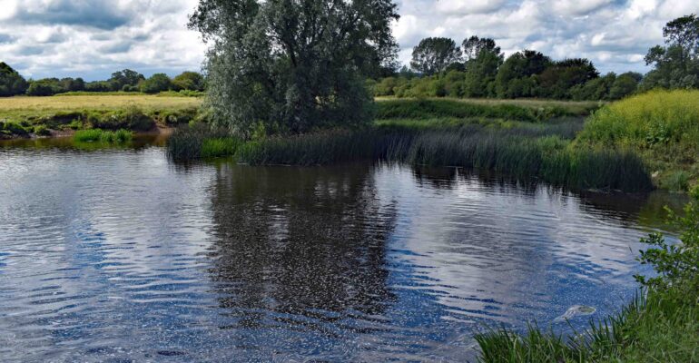 Advisory Notice – Fiddleford Mill. After swimming in the river at Fiddleford, a dog is being treated for the possible effects of Blue/Green algae poisoning. Please click into this message for the full update.