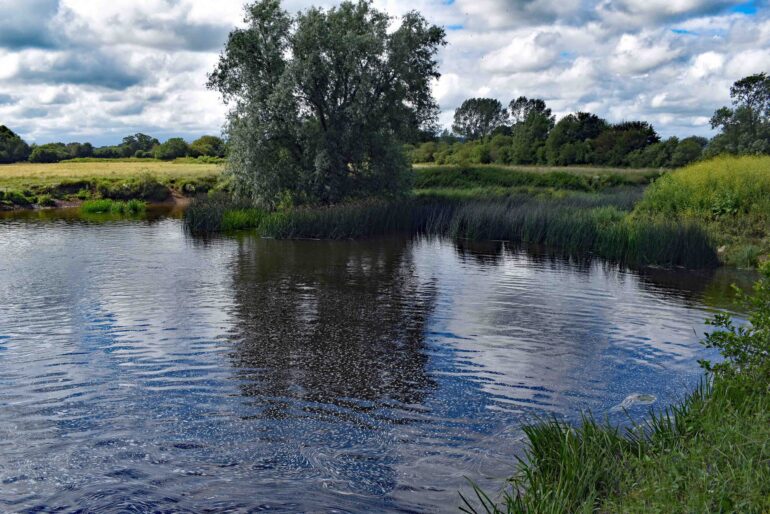 Advisory Notice – Fiddleford Mill. After swimming in the river at Fiddleford, a dog is being treated for the possible effects of Blue/Green algae poisoning. Please click into this message for the full update.