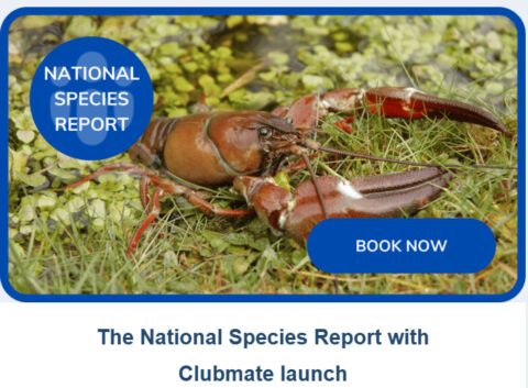 Report invasive species, plants and animals, front and centre in the member area of Clubmate